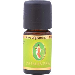 Primavera Rose afghanisch