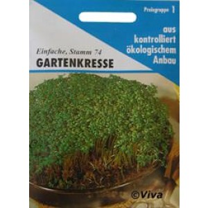 biologische Kresse-Samen